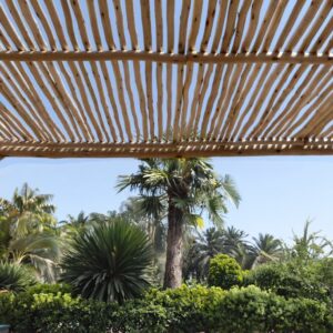 Pergola cosy